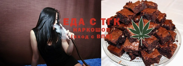 индика Абаза
