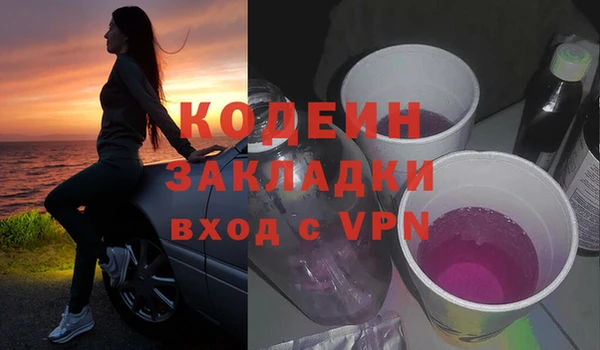 индика Абаза
