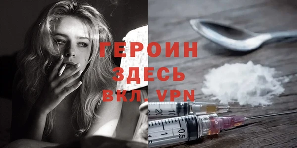 индика Абаза