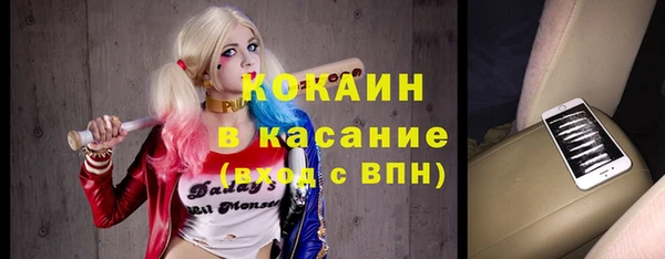 индика Абаза