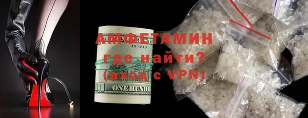 индика Абаза