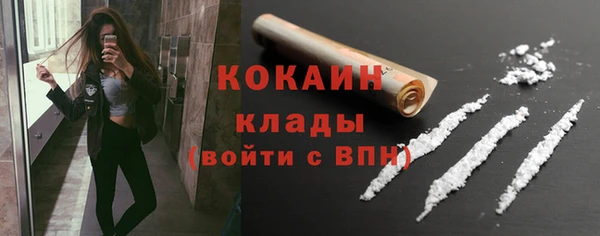 индика Абаза
