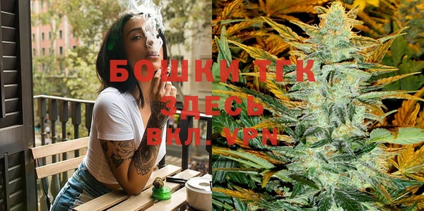 индика Абаза