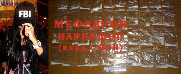 индика Абаза