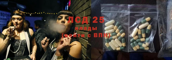 индика Абаза