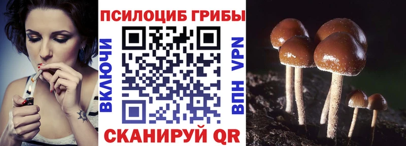 Псилоцибиновые грибы мицелий  как найти закладки  KRAKEN маркетплейс  Лакинск 